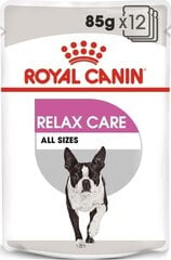 Royal Canin CCN Relax Care Loaf igat tõugu täiskasvanud koertele, 12x85 g hind ja info | Konservid koertele | kaup24.ee