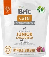 Brit lambaga, 1 kg hind ja info | Kuivtoit koertele | kaup24.ee