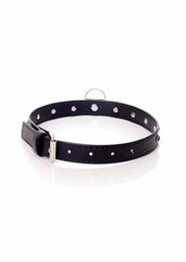 Boss Of Toys Fetish B - Series Collar - 2 cm navy blue crystal цена и информация | БДСМ и фетиш | kaup24.ee