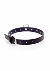 Boss Of Toys Fetish B - Series Collar - 2 cm. red crystal цена и информация | БДСМ и фетиш | kaup24.ee