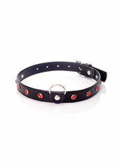 Boss Of Toys Fetish B - Series Collar - 2 cm. red crystal цена и информация | БДСМ и фетиш | kaup24.ee