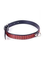 Boss Of Toys Fetish B - Series Collar with crystals 2 cm Red Line цена и информация | БДСМ и фетиш | kaup24.ee