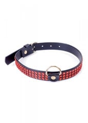 Boss Of Toys Fetish B - Series Collar with crystals 2 cm Red Line цена и информация | БДСМ и фетиш | kaup24.ee