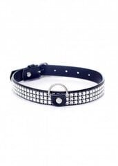 Boss Of Toys Fetish B - Series Collar with crystals 2 cm silver цена и информация | БДСМ и фетиш | kaup24.ee