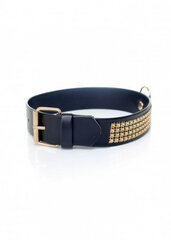 Boss Of Toys Fetish B - Series Collar with crystals 3 cm gold цена и информация | БДСМ и фетиш | kaup24.ee