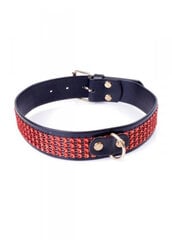 Boss Of Toys Fetish B - Series Collar with crystals 3 cm Red Line цена и информация | БДСМ и фетиш | kaup24.ee