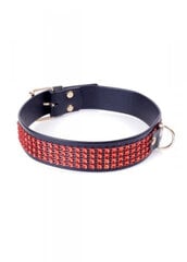 Boss Of Toys Fetish B - Series Collar with crystals 3 cm Red Line цена и информация | БДСМ и фетиш | kaup24.ee