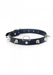 Boss Of Toys Fetish B - Series Collar with studs 2 cm цена и информация | БДСМ и фетиш | kaup24.ee