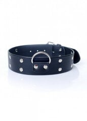 Boss Of Toys Fetish B - Series Collar with studs 4 cm цена и информация | БДСМ и фетиш | kaup24.ee