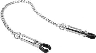 Chisa Sins Inquisition The Pinch Nipple Clamps with Chain цена и информация | БДСМ и фетиш | kaup24.ee