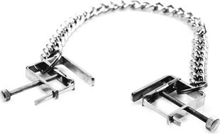 Kiotos Steel Nipple Clamps with Chain цена и информация | БДСМ и фетиш | kaup24.ee