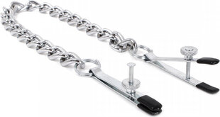 Kiotos Steel Nipple Clamps with Heavy Chain цена и информация | БДСМ и фетиш | kaup24.ee