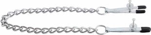 Kiotos Steel Nipple Clamps with Long Thin Chain цена и информация | БДСМ и фетиш | kaup24.ee