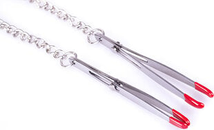 Kiotos Steel Tweezer Nipple Chains With Clamps цена и информация | БДСМ и фетиш | kaup24.ee