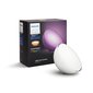 Philips Hue valgusti Go V2 LED hind ja info | Laualambid | kaup24.ee