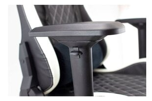 White Shark NITRO-GT Gaming Chair Nitro GT black/white цена и информация | Офисные кресла | kaup24.ee