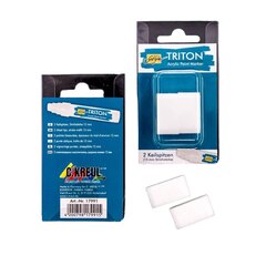 Triton Acrylic Paint Marker 15.0 - Tips  Set цена и информация | Канцелярские товары | kaup24.ee