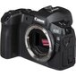 Canon EOS R цена и информация | Fotoaparaadid | kaup24.ee