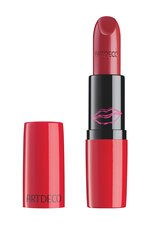 Губная помада Perfect Color Lipstick 804 цена и информация | Помады, бальзамы, блеск для губ | kaup24.ee