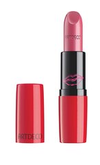 Huulepulk "Perfect Color Lipstick" 887 hind ja info | Huulepulgad, -läiked, -palsamid, vaseliin | kaup24.ee