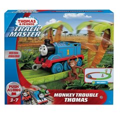 Трасса Африка Томас и друзья (Thomas&Friends), GJX83 цена и информация | Развивающий мелкую моторику - кинетический песок KeyCraft NV215 (80 г) детям от 3+ лет, бежевый | kaup24.ee