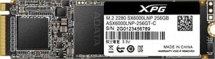 ADATA XPG SX6000 Lite 256Гб M.2 PCIe NVMe цена и информация | Внутренние жёсткие диски (HDD, SSD, Hybrid) | kaup24.ee