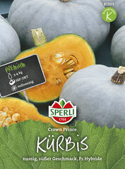 Крупные тыквы ,,Crown Prince“ цена и информация | Семена овощей, ягод | kaup24.ee