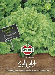 Листовой салат Grand Rapids цена и информация | Семена овощей, ягод | kaup24.ee