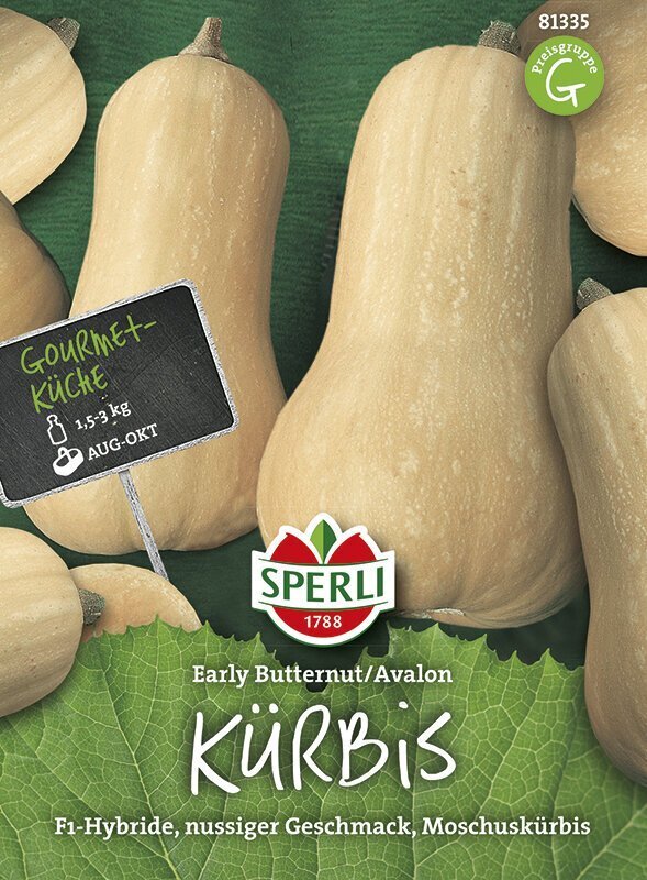 Lõhnav kõrvits Early Butter Nut F1 цена и информация | Köögivilja-, marjaseemned | kaup24.ee