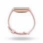 Fitbit Versa 2 Petal/Copper Rose hind ja info | Nutikellad (smartwatch) | kaup24.ee