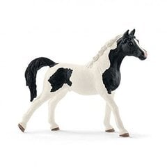 Фигурка Жеребец породы Пинтабская Schleich Horse Club цена и информация | Игрушки для мальчиков | kaup24.ee