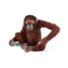 Фигурка Самка орангутанга Schleich Wild Life цена и информация | Развивающий мелкую моторику - кинетический песок KeyCraft NV215 (80 г) детям от 3+ лет, бежевый | kaup24.ee