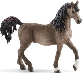 Статуэтка Арабской лошади Schleich Horse Club цена и информация | Развивающий мелкую моторику - кинетический песок KeyCraft NV215 (80 г) детям от 3+ лет, бежевый | kaup24.ee