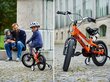 Laste jalgratas ROYALBABY Space 18" Oranž цена и информация | Jalgrattad | kaup24.ee