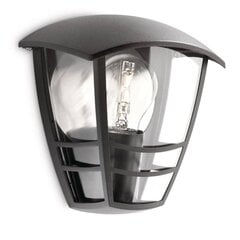 Настенный уличный светильник Philips Daylo HUE цена и информация | Уличное освещение | kaup24.ee