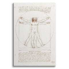 Maal lõuendil Leonardo da Vinci Vitruvian Man 80x120 reproduktsioon цена и информация | Картины, живопись | kaup24.ee