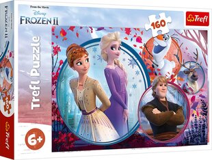 Pusle TREFL Frozen "Frozen 2" 160 osaline цена и информация | Пазлы | kaup24.ee