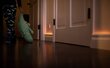 Philips Hue Motion Sensor liikumisandur hind ja info | Andurid, sensorid | kaup24.ee