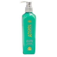 Šampoon kuivadele juustele Angel Dual Repair Shampoo, 1 l цена и информация | Шампуни | kaup24.ee