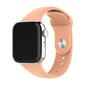 L?mplig f?r Applewatch silikonrem 38/40/41mm rem цена и информация | Nutikellade ja nutivõrude tarvikud | kaup24.ee