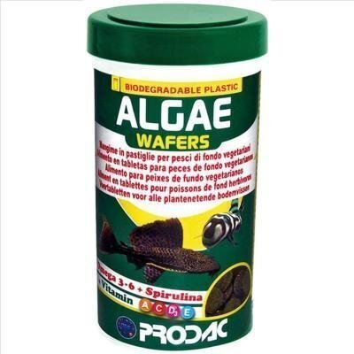 Taimsed tabletid kaladele Prodac Algae Wafers, 100ml 50g цена и информация | Toit kaladele | kaup24.ee