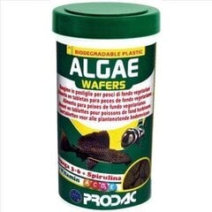 Taimsed tabletid kaladele Prodac Algae Wafers, 250ml 125g цена и информация | Корм для живой рыбы | kaup24.ee