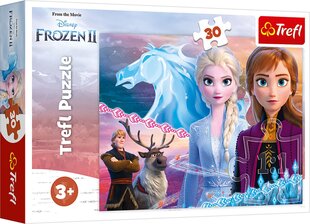 TREFL пазл Ледяная страна 2 ( Frozen 2 ) 30 ч. цена и информация | Пазлы | kaup24.ee