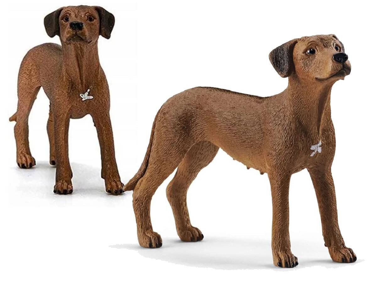 Kuju Rodeesia ridgeback Schleich Farm World hind ja info | Poiste mänguasjad | kaup24.ee