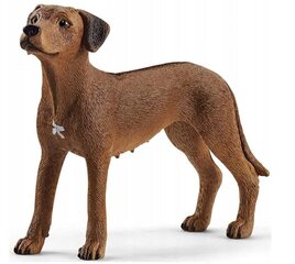 Kuju Rodeesia ridgeback Schleich Farm World цена и информация | Игрушки для мальчиков | kaup24.ee