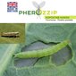 Feromoon kapsakoidele (Plutella xylostella) MKDS Pherozzip hind ja info | Hooldusvahendid taimedele | kaup24.ee