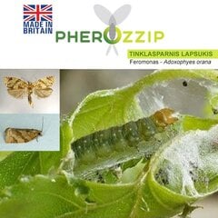 Feromoon suveviljade mähkurlasele (Adoxophyes orana) MKDS Pherozzip цена и информация | Средства для ухода за растениями | kaup24.ee