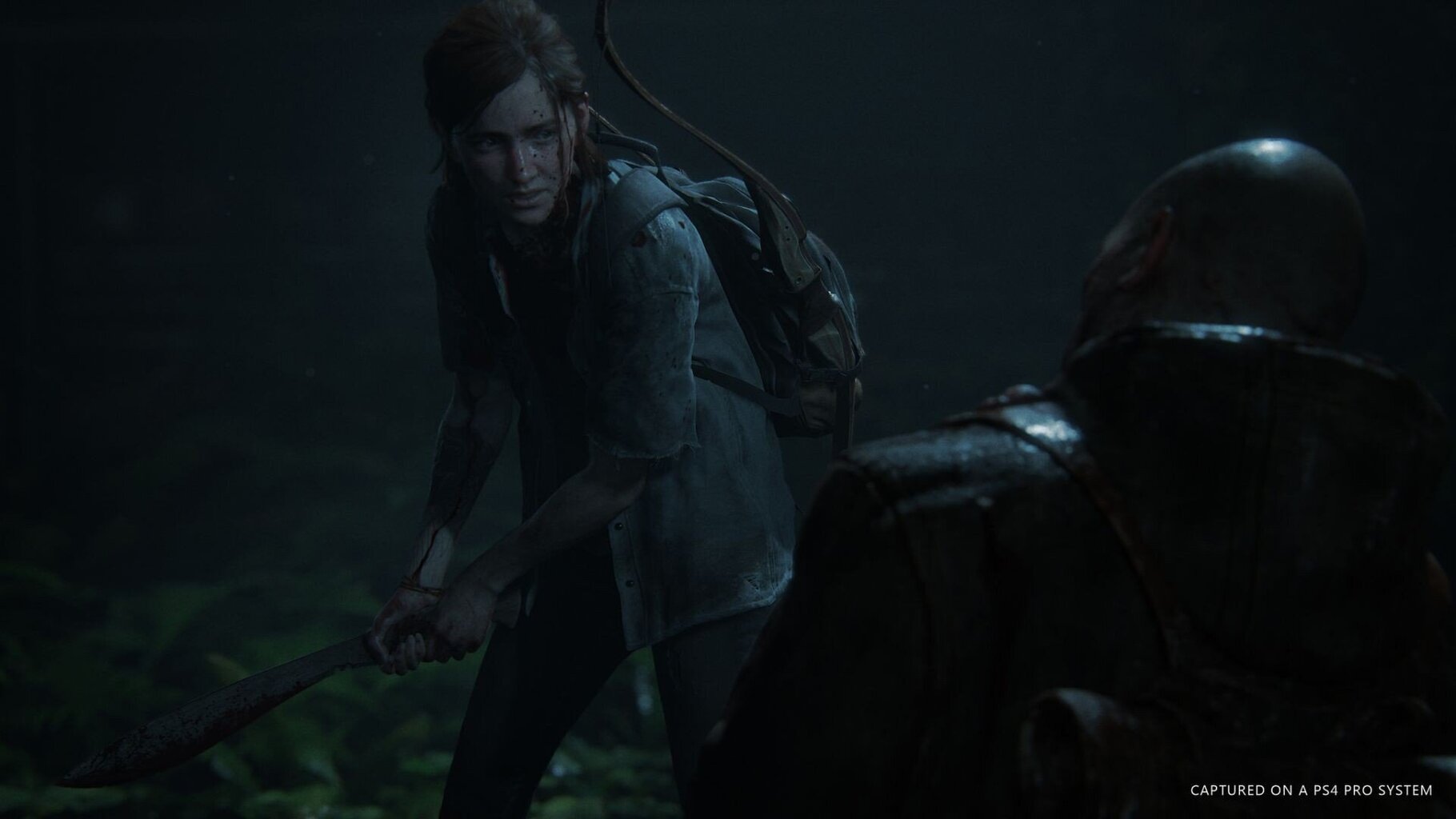 The Last of Us Part II, PS4 hind ja info | Arvutimängud, konsoolimängud | kaup24.ee