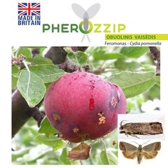 MKDS Феромон для яблонной плодожорки (Cydia pomonella) Pherozzip цена и информация | Средства для ухода за растениями | kaup24.ee