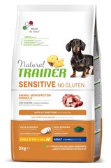 Natural trainer  sensitive no gluten adult mini duck - безглютеновый сухой корм с уткой для взрослых собак  цена и информация | Сухой корм для собак | kaup24.ee